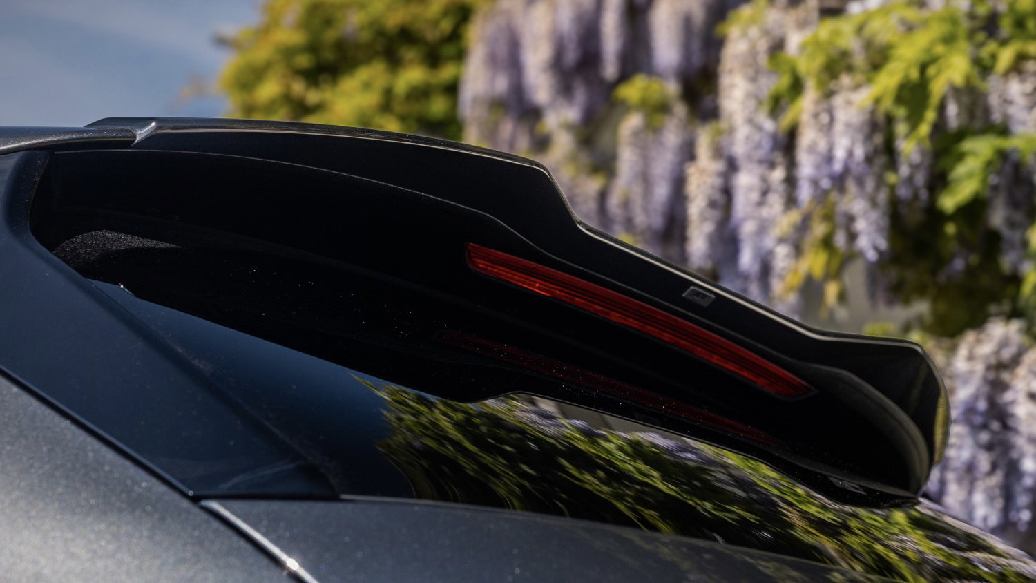 Abt Audi S5 Avant - rear detail